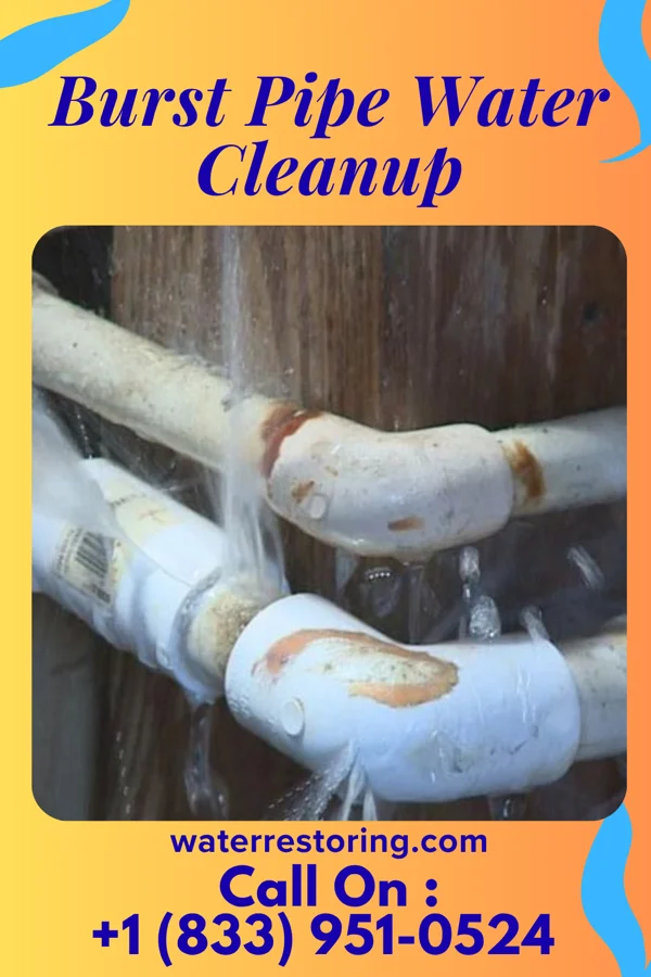 Burst Pipe Water Cleanup in Sparta, NC