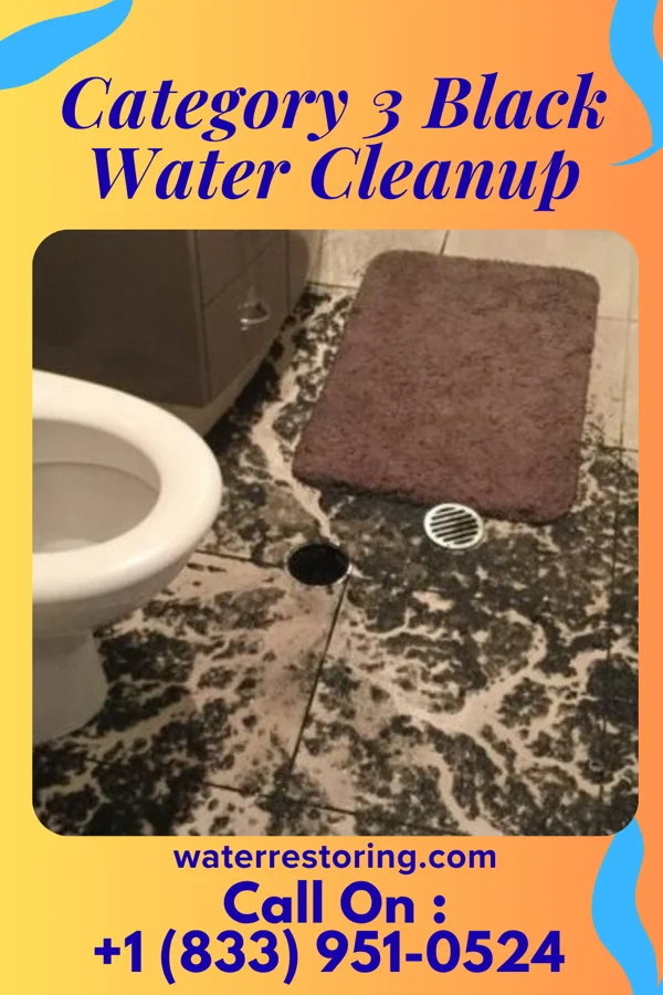 Category 3 Black Water Cleanup in Sparta, NC