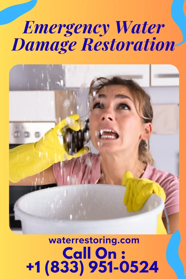 Emergency Water Damage Restoration in Sparta, NC