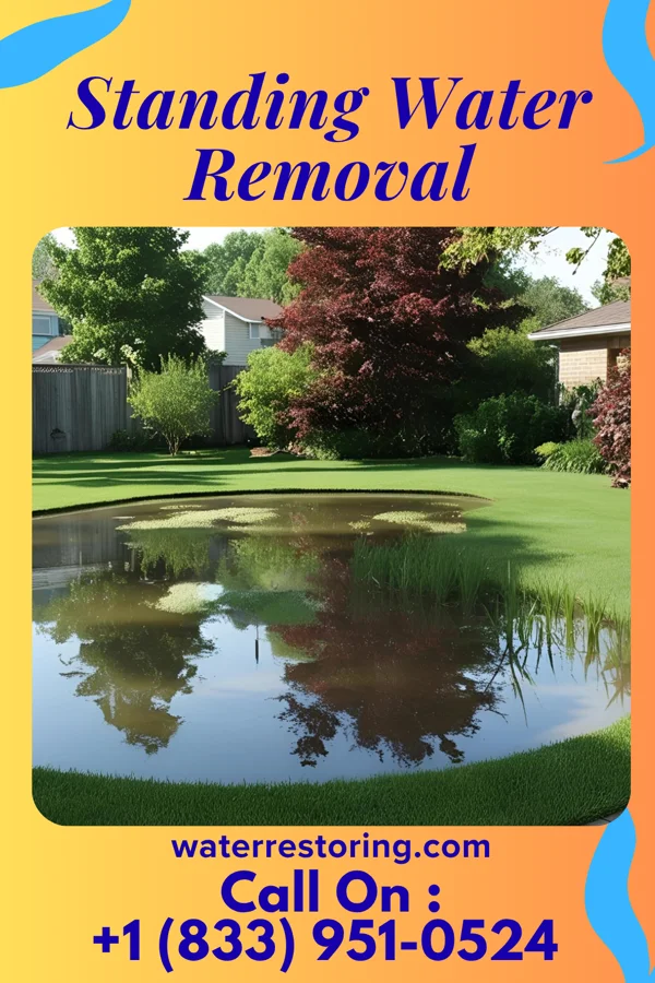 Standing Water Removal in Sparta, NC